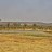 Kruger National Park - Punda Maria