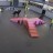 Beaverton - Sniff Dog Hotel