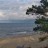 Plaża