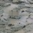 Lofoty - Andenes