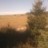 Aubrac - Plateau de l'Aubrac en Lozère
