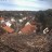 Bad Waldsee - Bociany