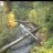 Blue River - Lookout Creek