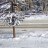 Breckenridge - Main Street