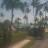 Islamorada - Breezy Palms Resort
