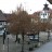 Rimbach - Marktplatz