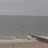 Cadzand - Plaża