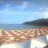 Campo nell'Elba - Fetovaia - Pino Solitario