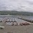 Coniston - Coniston Water