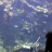 California Academy of Sciences - Philippine Coral Reef