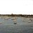 Marblehead - Corinthian Yacht Club
