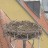 Crailsheim - Cigognes