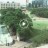 Dallas - Dealey Plaza