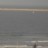 Durbanas - North Beach