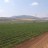 Ein Harod - Ackerland