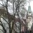 Freiburg im Breisgau - Kaiser-Joseph-Straße