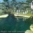Galveston - Moody Gardens - Penguins