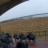 Geneva - Ventosa Vineyards