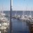 Deale - Harrington Harbour