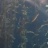 Monterey - Kelp Forest