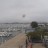 Loctudy - Marina, Perdrix