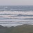 Muriwai - Beach