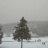 Yellowstone National Park - Old Faithful