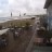 Oostvoorne - Plaża