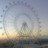 Orlando - The Wheel at ICON Park Orlando