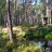 Park Narodowy Nuuksio