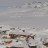 Tasiilaq - Panorama