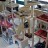 Reno - Nevada Humane Society