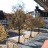 Rimbach - Marktplatz