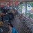 Saint John - Cruz Bay - Beach Bar