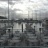 Tiburon - Sam's Anchor Cafe