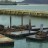 San Francisco - Pier 39 - Sea lion