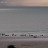 Siesta Key - Beach