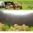 Spitz - Weingut Lagler
