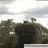 Strausberg - Hohenstein - Storks