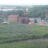 Surgut - Kamenniy Mis