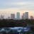 Tampa - Skyline