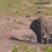 Tembe Elephant Park