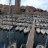 Trieste - Marina