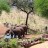 Tarangire Treetops by Elewana