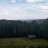 Tunbridge - Farma