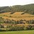Yzeron - Panorama