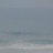 Zarautz