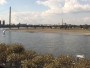 Düsseldorf - Rheinufer