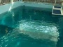 Clearwater - Marine Aquarium