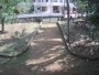 Kerala - Kannur